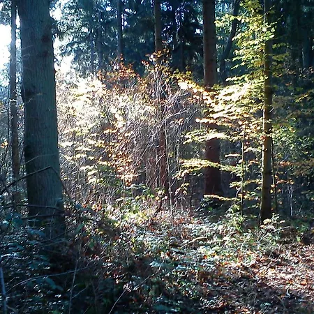 Haus Katharina Prázdninový dům *